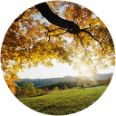 Bhanu Pillay profile picture